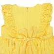 Flounce Sleeve Dress