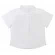 Timeless Short Sleeves Shirt
