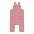 Striped Overalls 