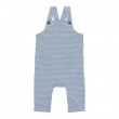 Striped Overalls 