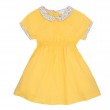 Floral Collar Dress 