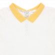 Collared Shirt 