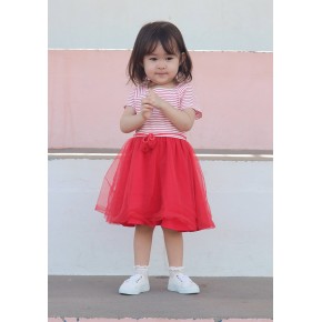 Ballerina Tulle Dress
