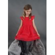 Festive Tulle Dress 