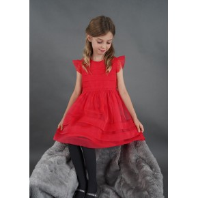 Festive Pleated Organza Dress  