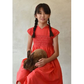 Hand Smocked Cheongsam Dress