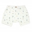 Organic Cotton Shorts 