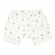 Organic Cotton Shorts 