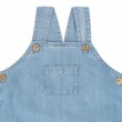 Blue Overalls