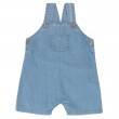 Blue Overalls