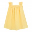 Ruffle sleeve dress 