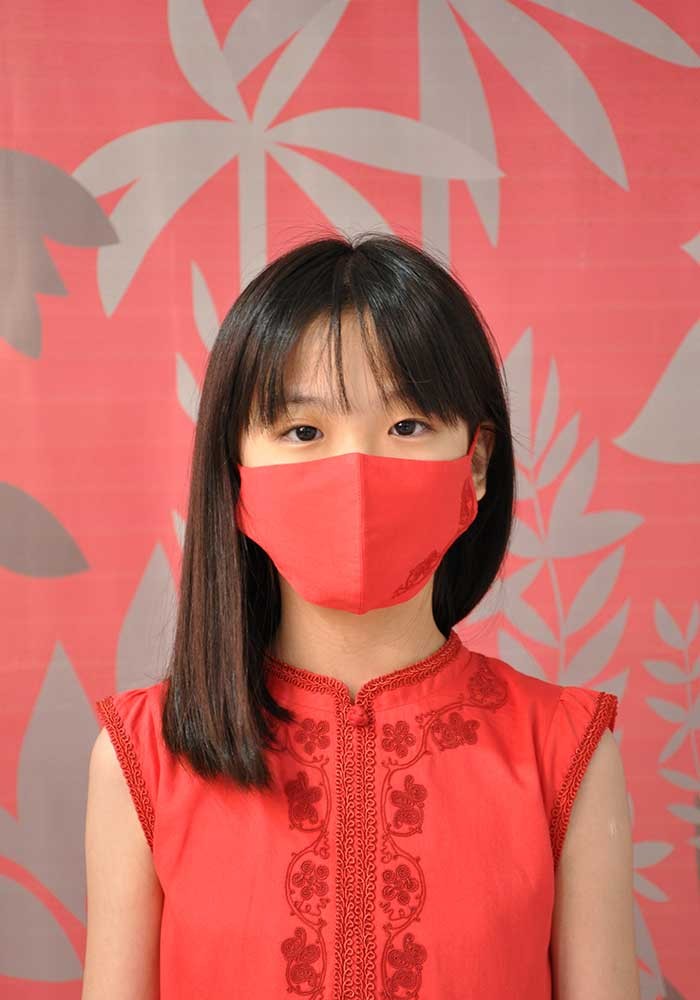 Spring Festival Embroidered Mask 
