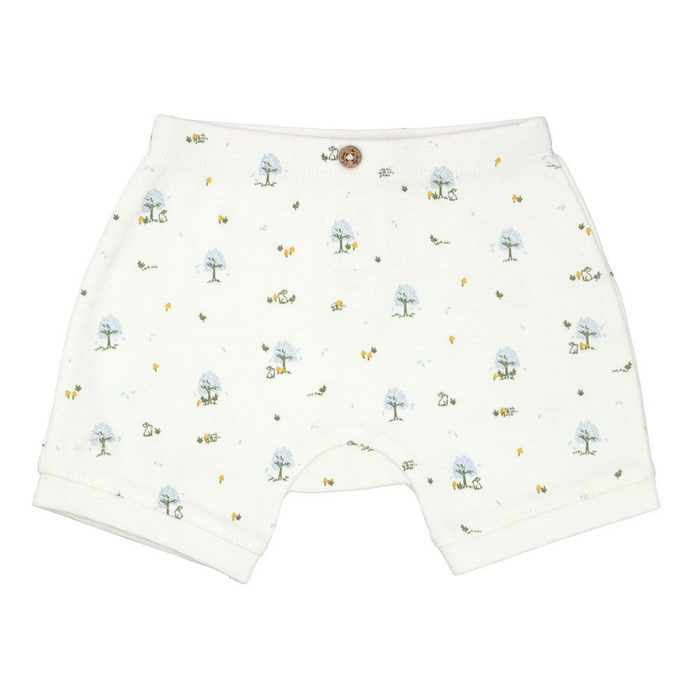 Organic Cotton Shorts 