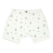 Organic Cotton Shorts 