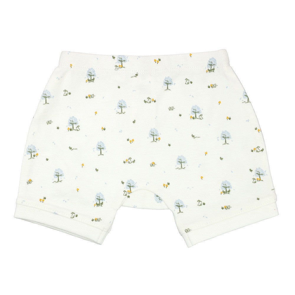 Organic Cotton Shorts 