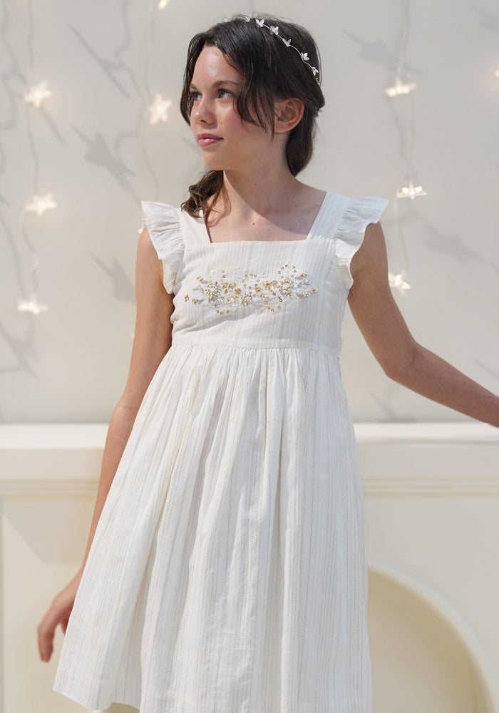 Embroidered Dress