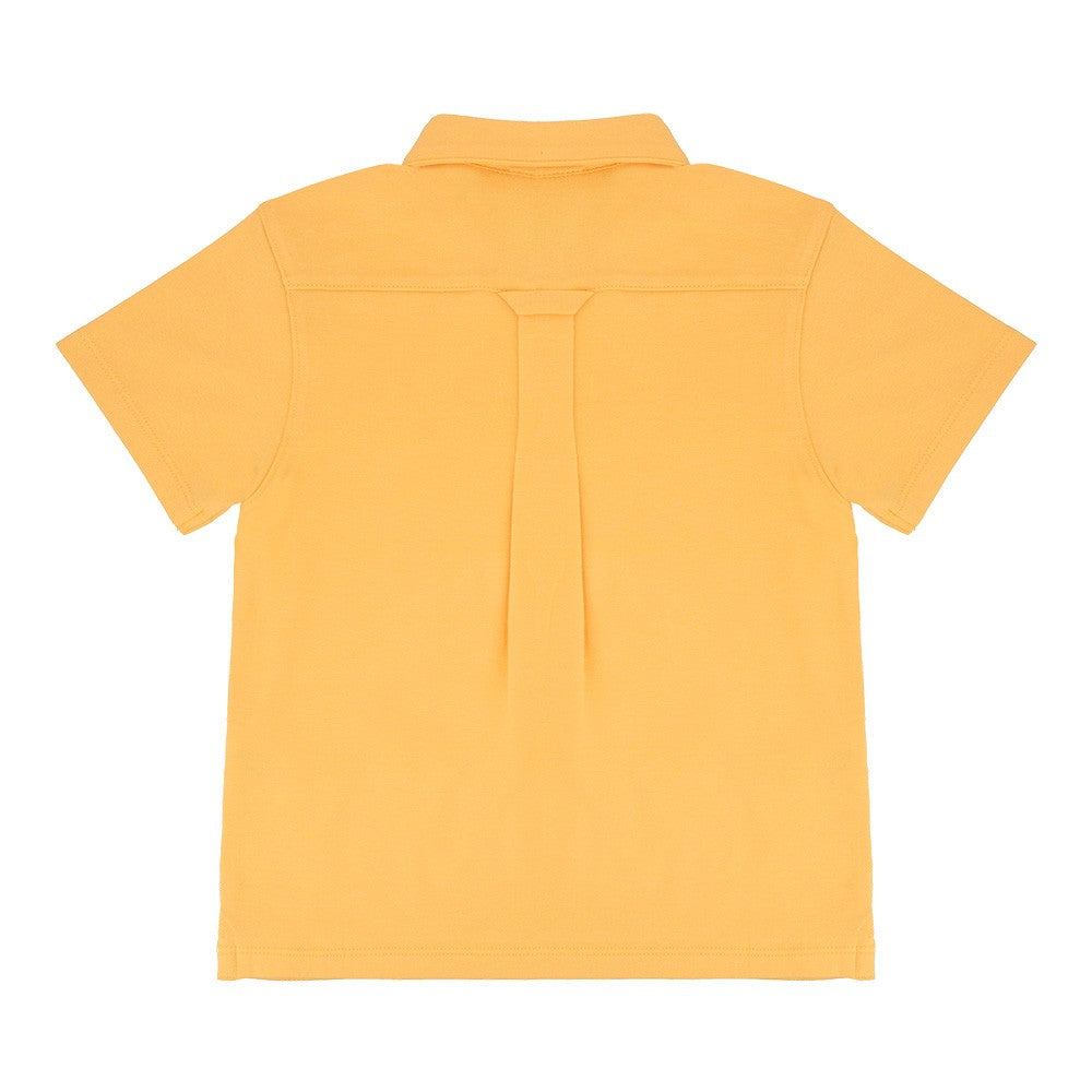 The Essentials - Polo 