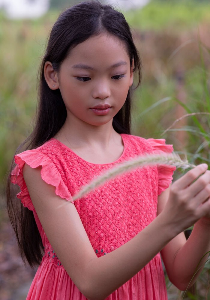 Hand embroidered smocking dress