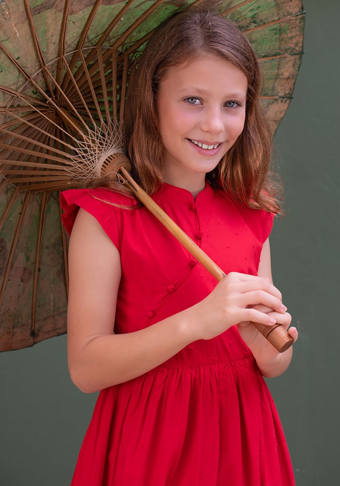Embroidered Cheongsam