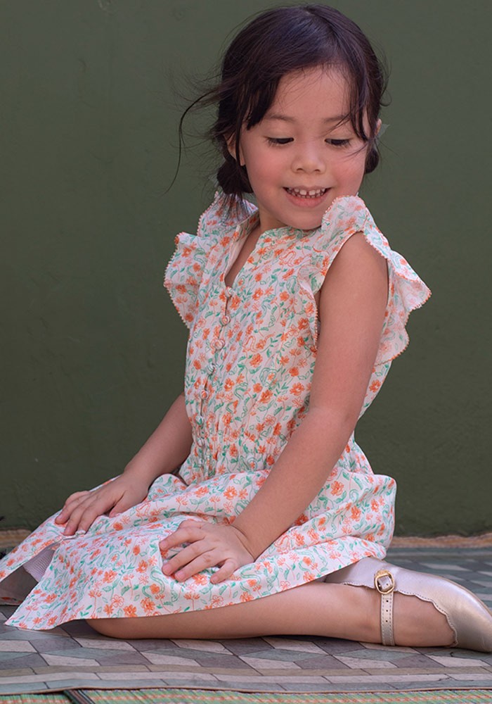 Flounce sleeve Dress