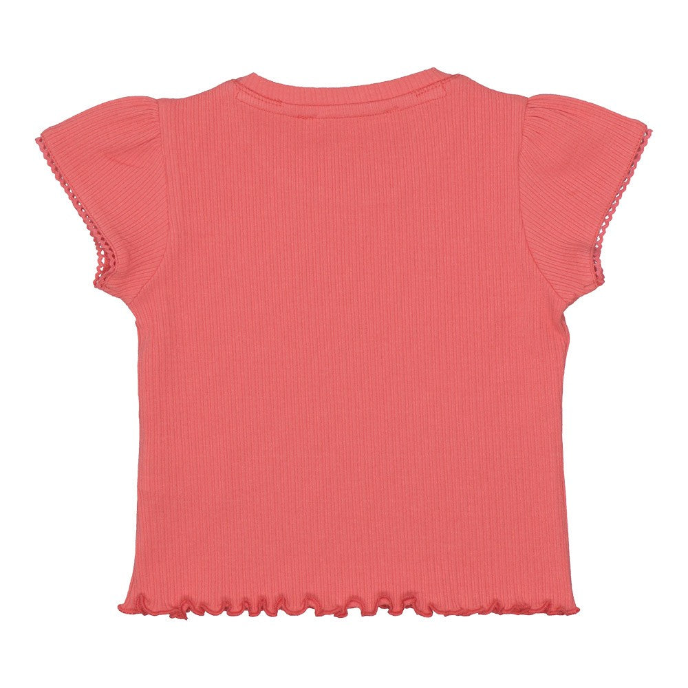 Ribbed cotton tee-shirt