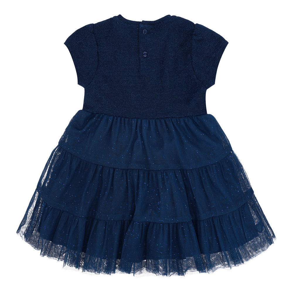 Festive ballerina tulle dress