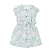 Printed shirt dress