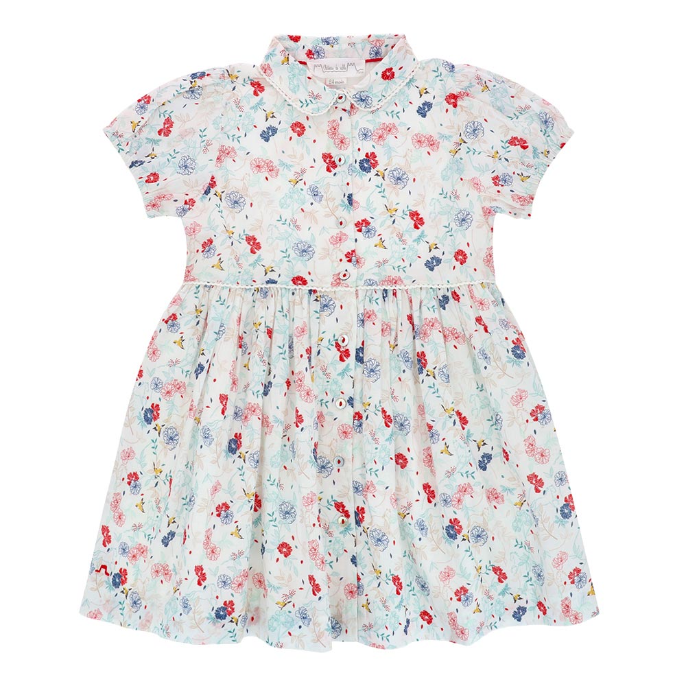 Spring Festival printed dress