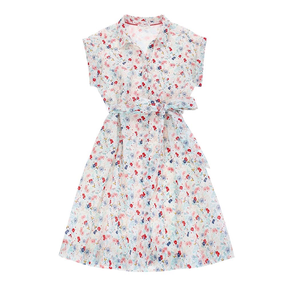 Spring Festival printed lady's dress